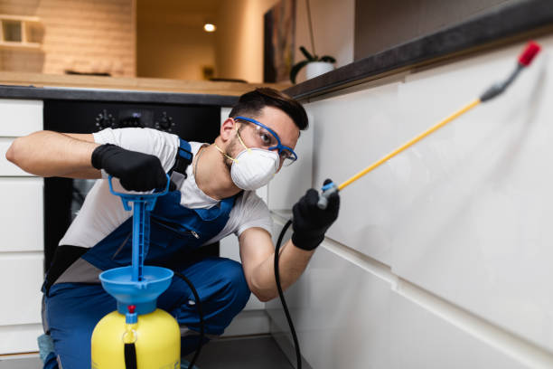 Best Wasp Removal Services  in Bloomgton, IN