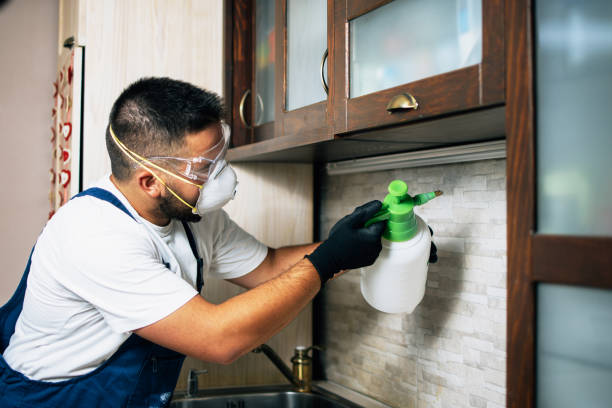 Best Affordable Pest Control Services  in Bloomgton, IN