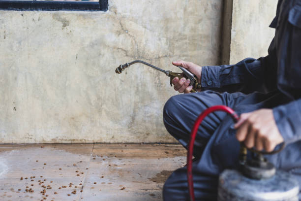 Best Pest Control Near Me  in Bloomgton, IN